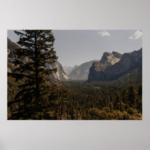 GRÖNT TRÄD NÄRA MOUNTAIN UNDER DAGEN POSTER