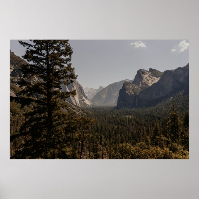 GRÖNT TRÄD NÄRA MOUNTAIN UNDER DAGEN POSTER (Framsidan)