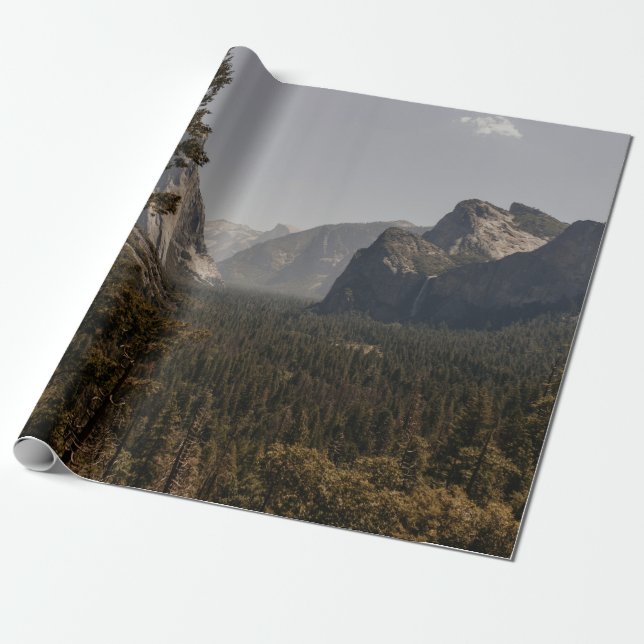 GRÖNT TRÄD NÄRA MOUNTAIN UNDER DAGEN PRESENTPAPPER (Utrullad)