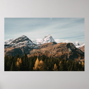 GRÖNT TRÄD NÄRA SNÖ TÄCKTE MOUNTAIN UNDER DAGEN POSTER