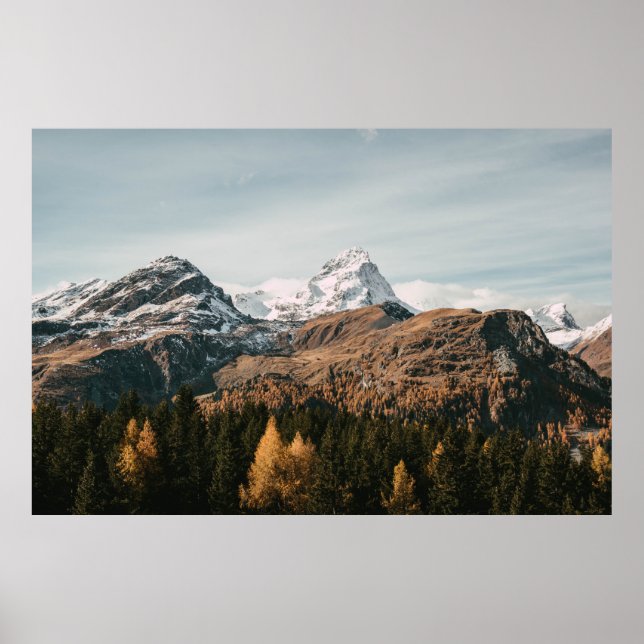 GRÖNT TRÄD NÄRA SNÖ TÄCKTE MOUNTAIN UNDER DAGEN POSTER (Framsidan)