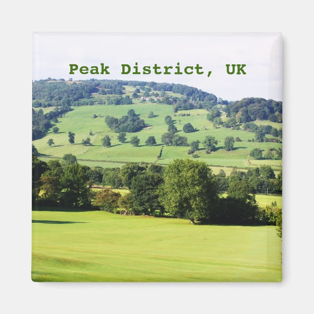 Grönt träd på backe magnet (Framsidan)