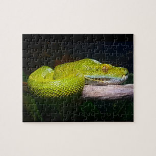 Grönt Träd Python Snake Owner Pussel