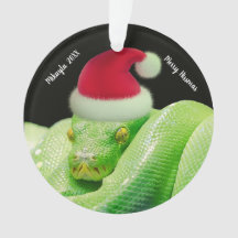 Grönt Träd Snake in Santa Hat Merry Hissmas