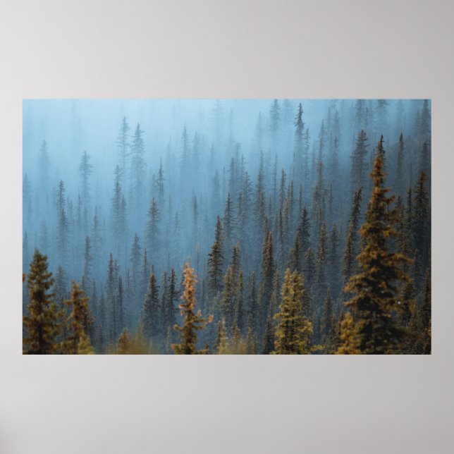 GRÖNT TRÄD UNDER DAGEN POSTER (Framsidan)