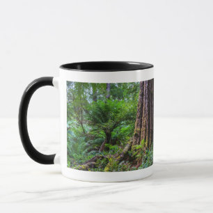 Grönt träd vid Underbara Otway-regnskogen Australi Mugg