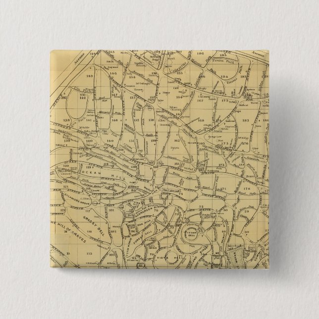 Grönt Trämaterial Knapp (Framsida)