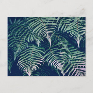 Grönt Tropical Fern Löv Natural Mönster Vykort
