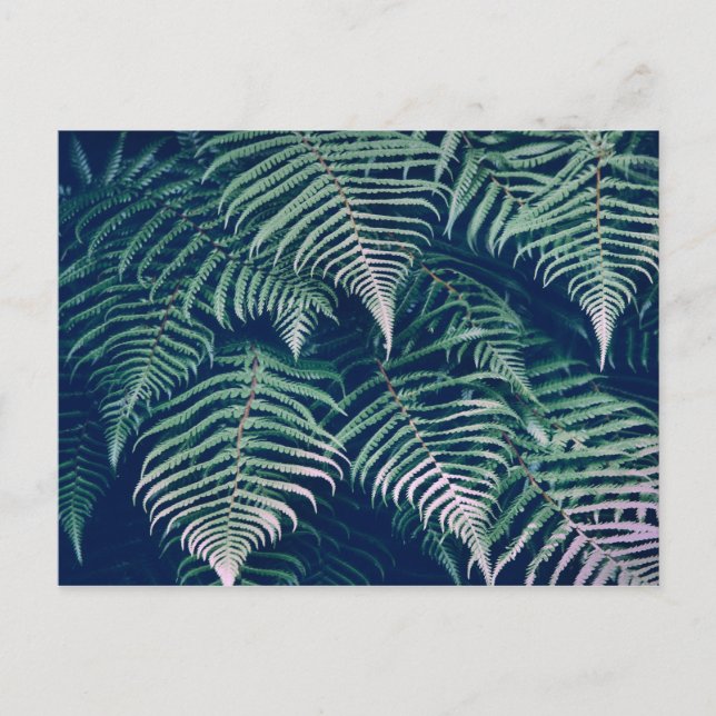 Grönt Tropical Fern Löv Natural Mönster Vykort (Framsida)