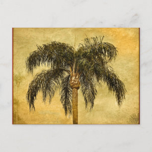 Grönt Tropical Handflatan Träd Hawaiian Vintage Ha Vykort
