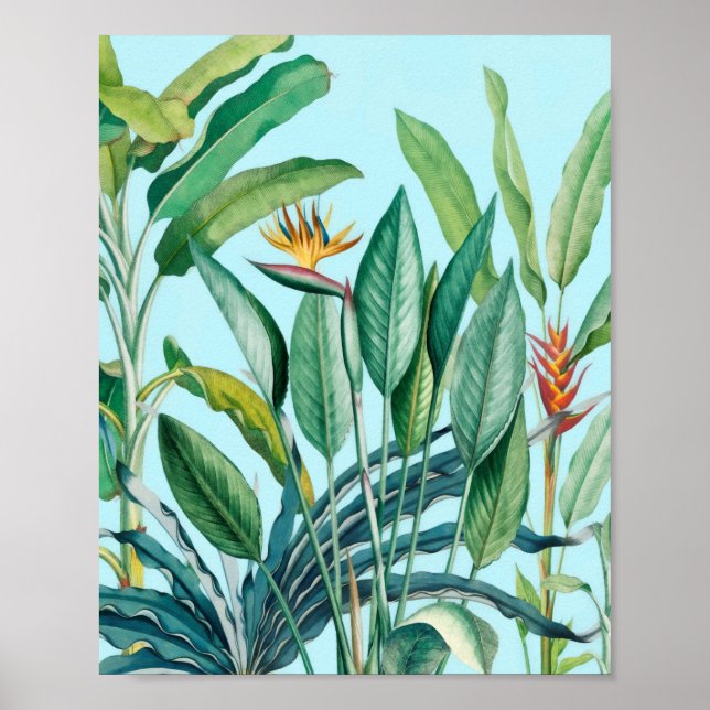 Grönt Tropical Jungle Banana Träd Strelitzia Poster (Framsidan)