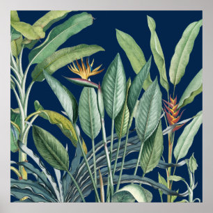 Grönt Tropical Jungle Banana Träd Strelitzia Poster