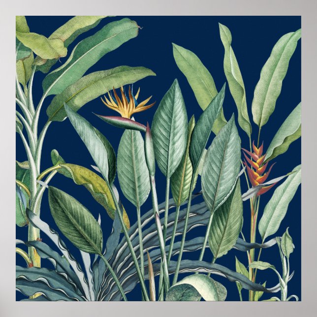 Grönt Tropical Jungle Banana Träd Strelitzia Poster (Framsidan)