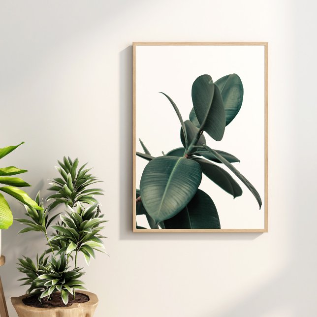 Grönt Tropical Plant Poster (Green Tropical Plant Poster on the wall surronded with green house plants.)