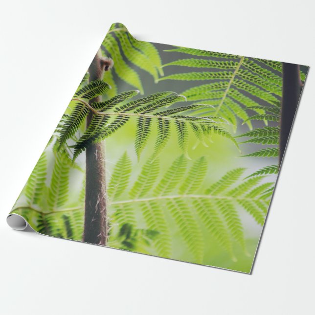  Grönt Tropical Presentpapper (Utrullad)