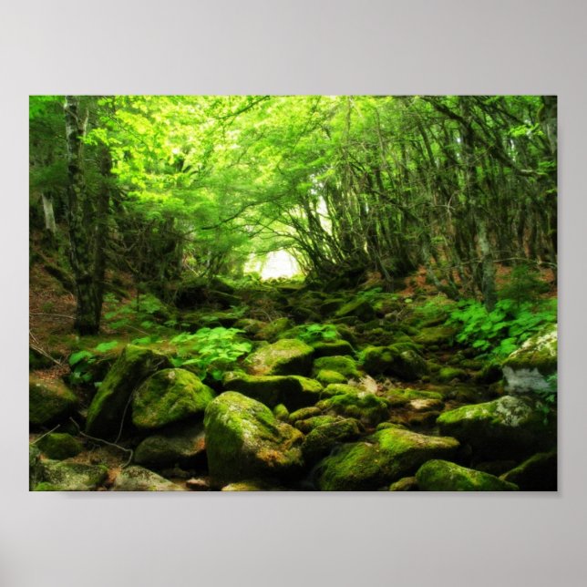 Grönt Tunnel Poster (Framsidan)