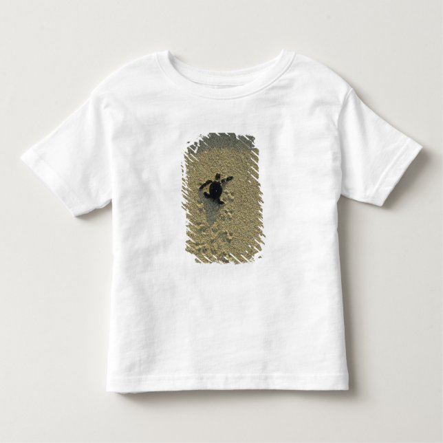 Grönt Turtle, (Chelonia mydas), hatchling T-shirt (Framsida)