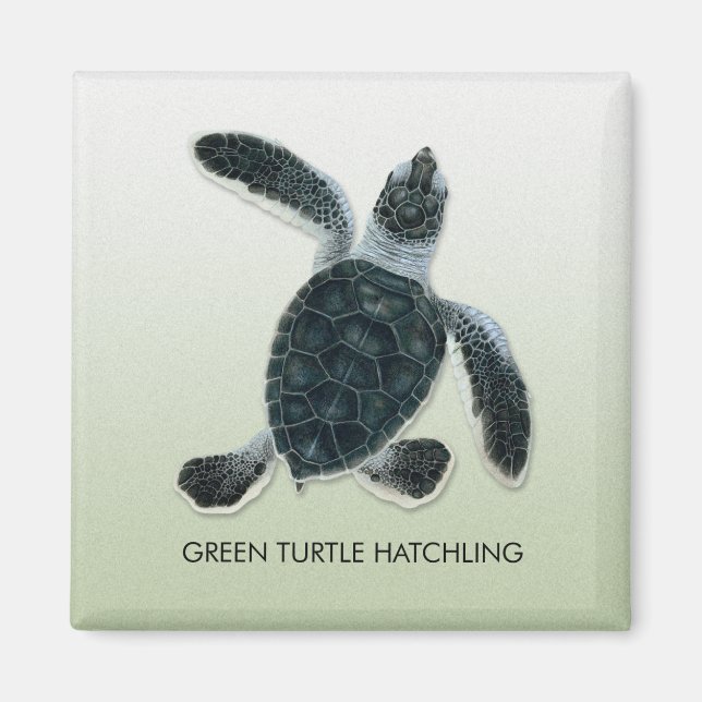 Grönt Turtle Hatchling Magnet (Framsidan)