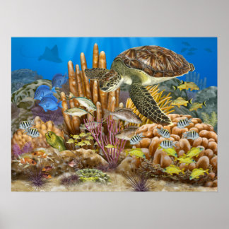 Grönt Turtle over Coral Reef Poster