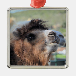 Grönt Utjämna Camelns utseende Julgransprydnad Metall