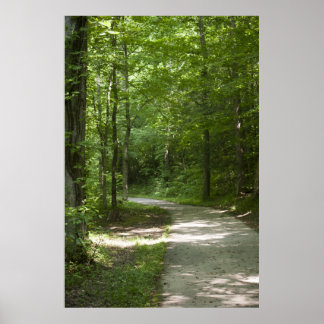 Grönt Väg 13 Poster