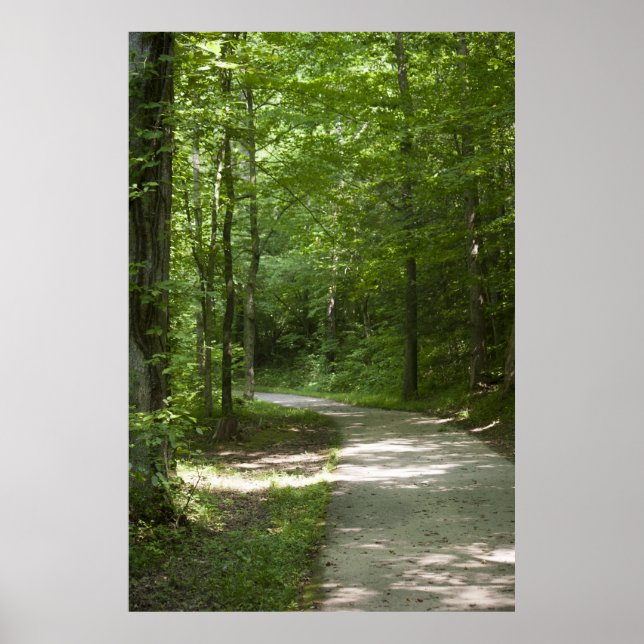 Grönt Väg 13 Poster (Framsidan)