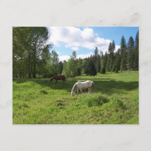 Grönt Valley Bible Verse Encouragement Card Kort