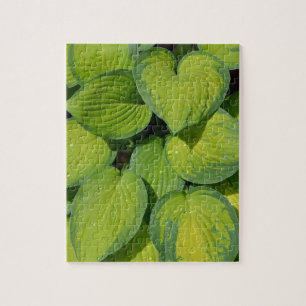 Grönt vår hosta plant löv pussel