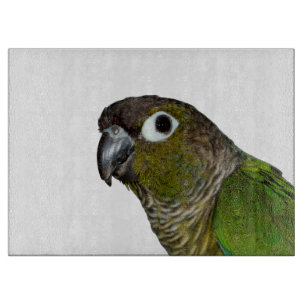 Grönt varade fräck mot Conure