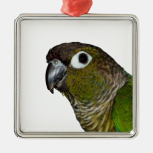 Grönt varade fräck mot Conure Julgransprydnad Metall