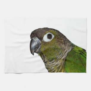 Grönt varade fräck mot Conure Kökshandduk