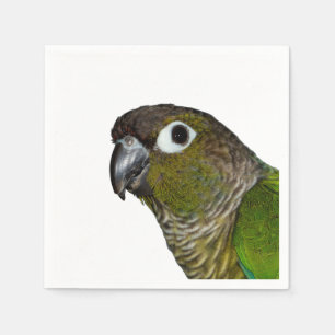 Grönt varade fräck mot Conure Pappersservett