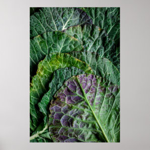 Grönt vegetabilisk poster