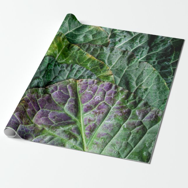 Grönt vegetabilisk presentpapper (Utrullad)
