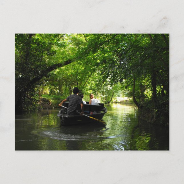 Grönt Venice Coulon Frankrike Vykort (Framsida)