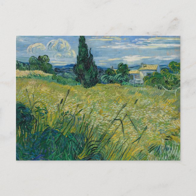 Grönt vete | 1889 vykort (Framsida)