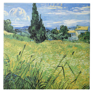 Grönt vetefält med cypress kakelplatta