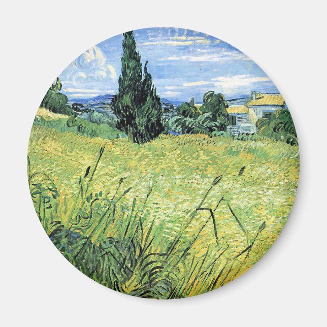 Grönt vetefält med cypress magnet (Framsidan)