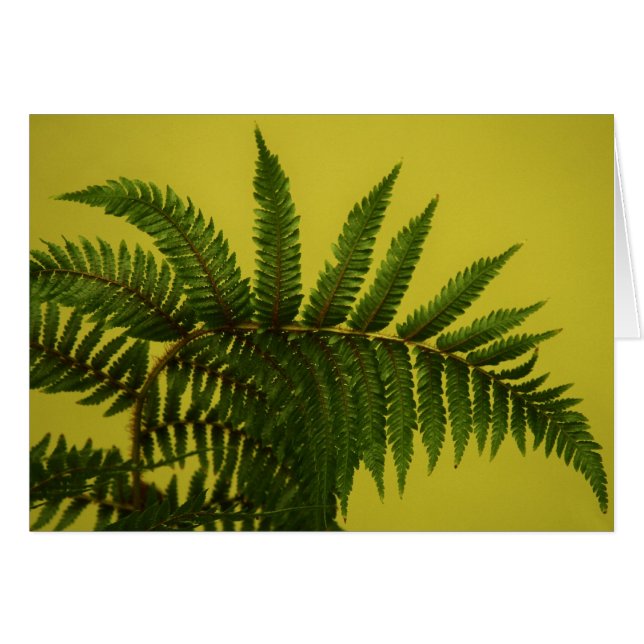 "grönt" vid Larry Coressel Hälsningskort (Framsidan Horizontal)