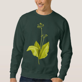 Grönt vild vitlöksväxter botanist T-Shirt Lång Ärmad Tröja