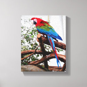 Grönt-vingad Macaw #3 Canvastryck