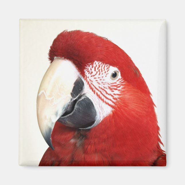 Grönt Vinge Macaw Prinnie Parrot Magnet (Framsidan)