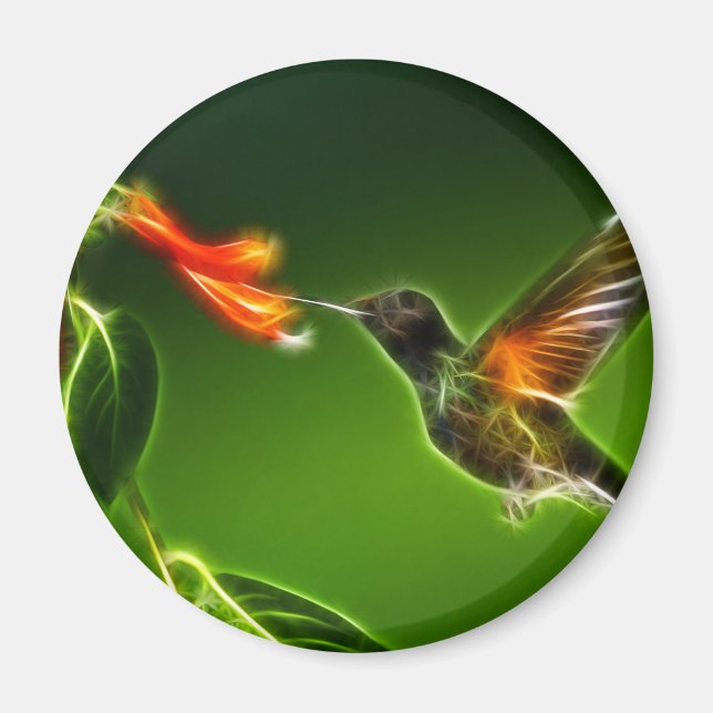 Grönt Violetear Hummingbird Magnet (Framsidan)