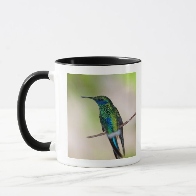 Grönt Violett-gå i ax hummingbirden Mugg (Vänster)