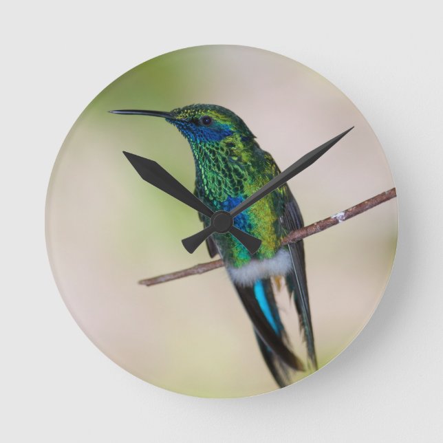 Grönt Violett-gå i ax hummingbirden Rund Klocka (Framsida)