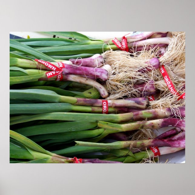 Grönt Vitlök Poster (Framsidan)