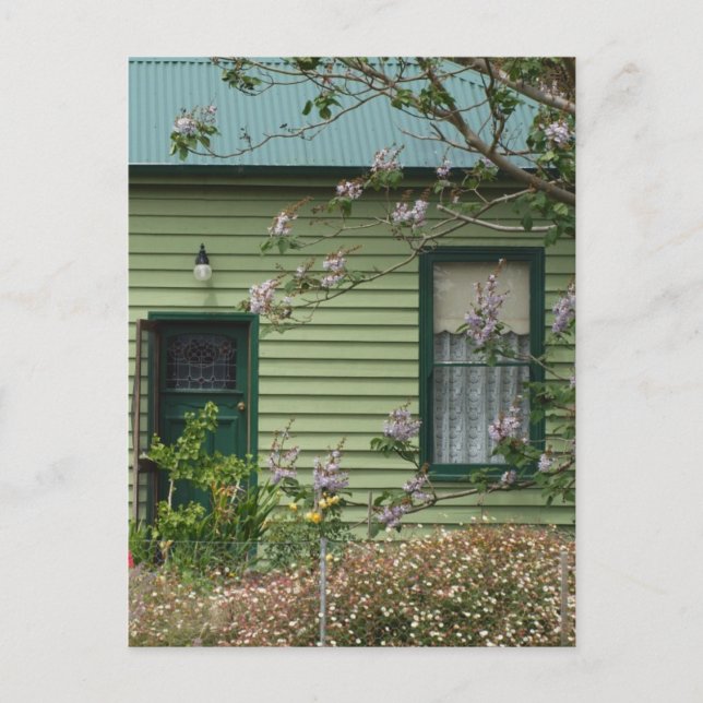 Grönt Vykort (Framsida)