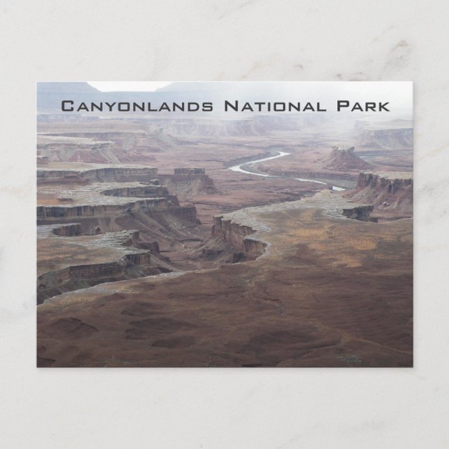 Grönt Vykort (Framsida)