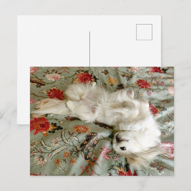 Grönt Vykort (Fram/baksida)