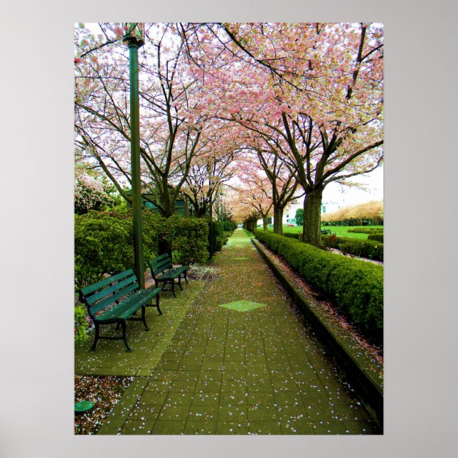 Grönt Walk Poster (Framsidan)